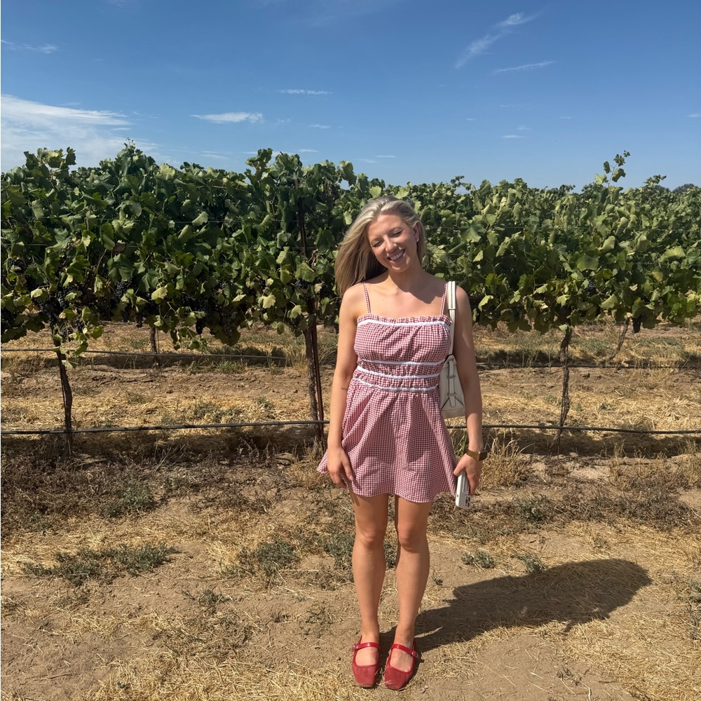 Together Red and White Gingham Dress